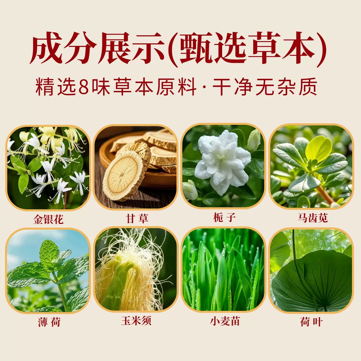 王二名配方茶礼盒装